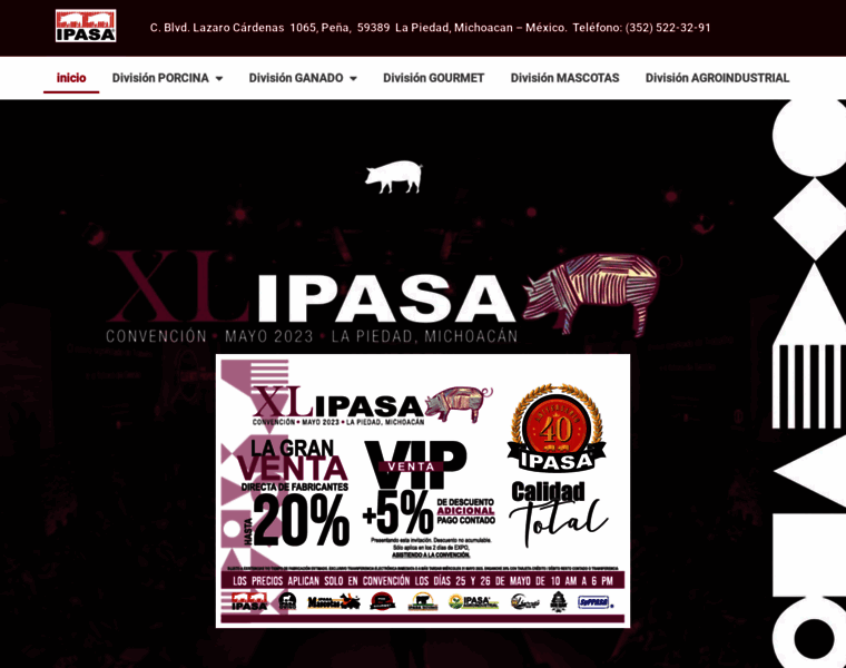 Ipasa.com.mx thumbnail
