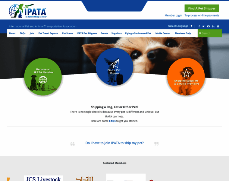 Ipata.org thumbnail