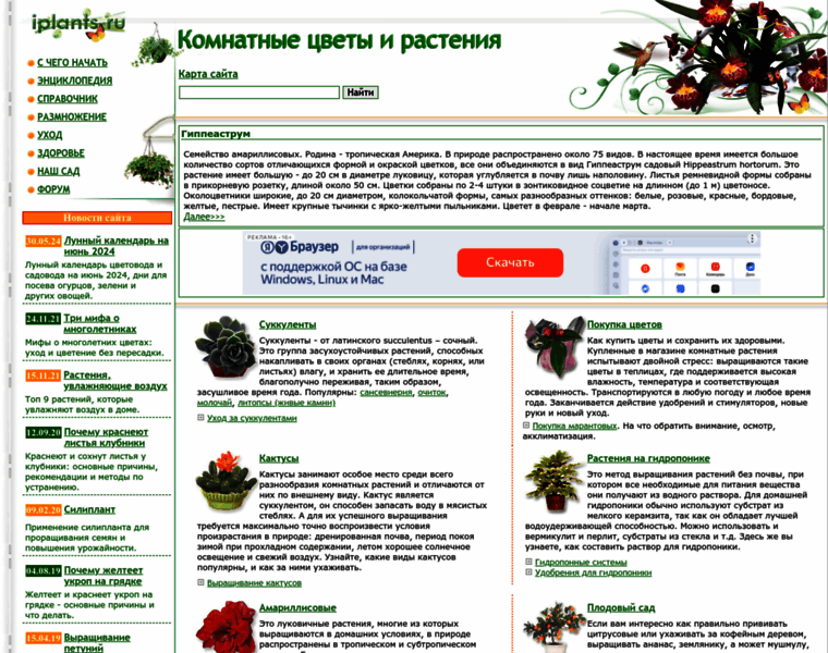 Iplants.ru thumbnail