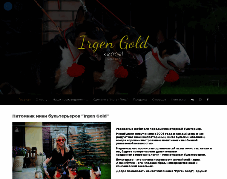 Irgengold.ru thumbnail