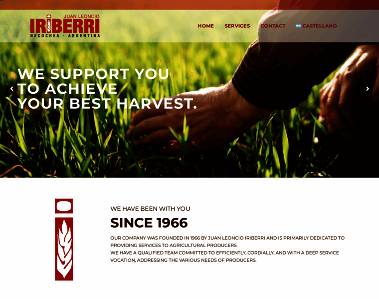 Iriberri.com.ar thumbnail