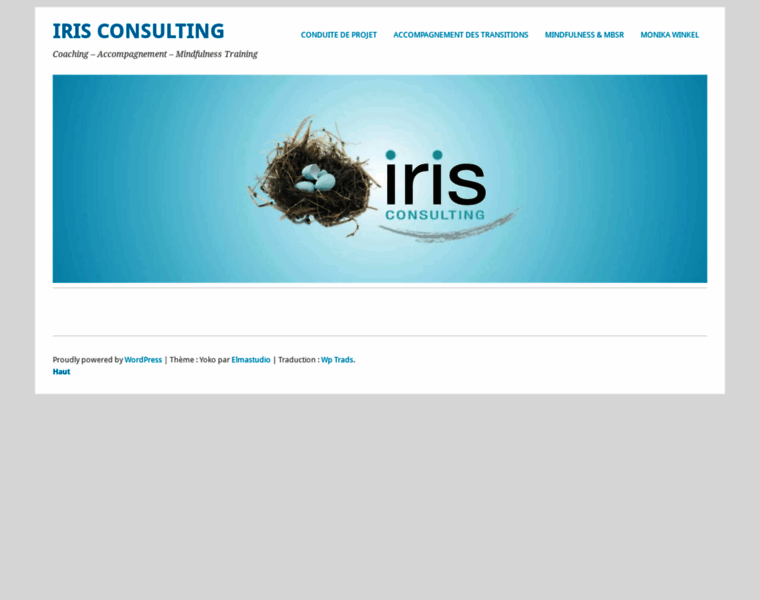 Iris-consulting.fr thumbnail