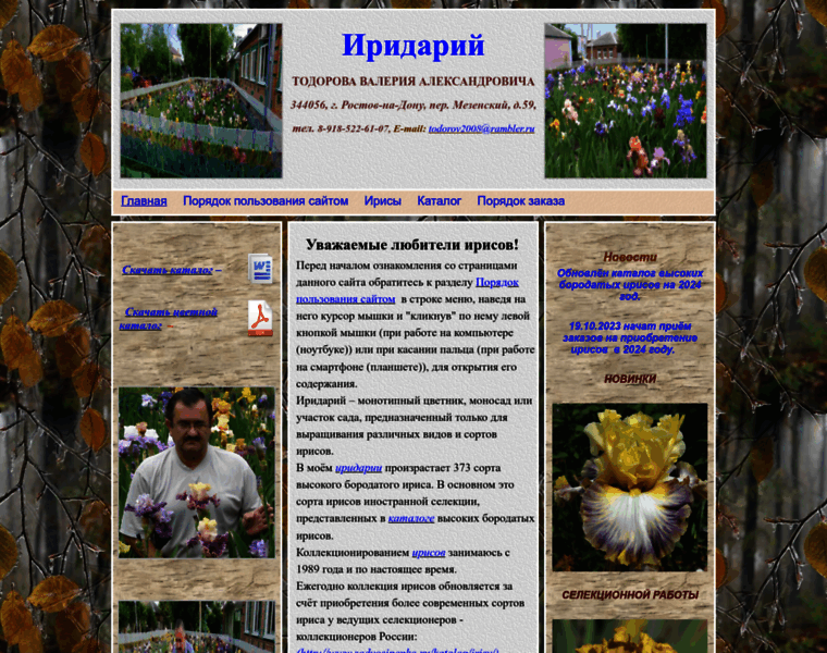 Iris-todorov.ru thumbnail