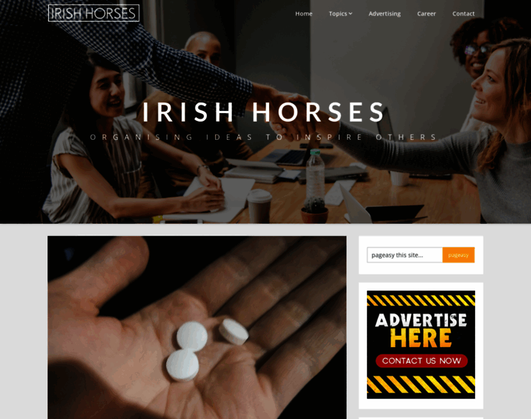 Irish-horses.com thumbnail
