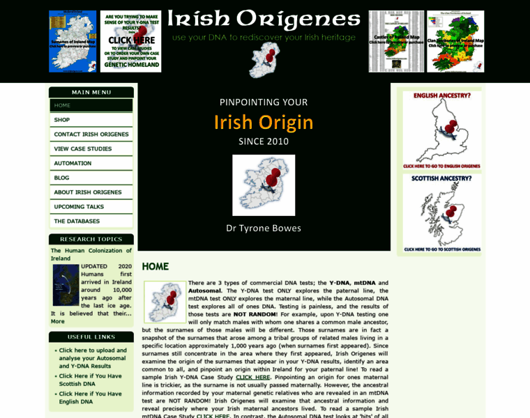 Irishorigenes.com thumbnail
