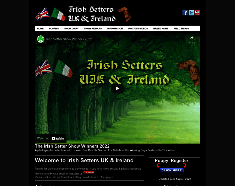Irishsetter.org.uk thumbnail
