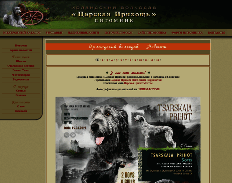 Irishwolfdog.ru thumbnail