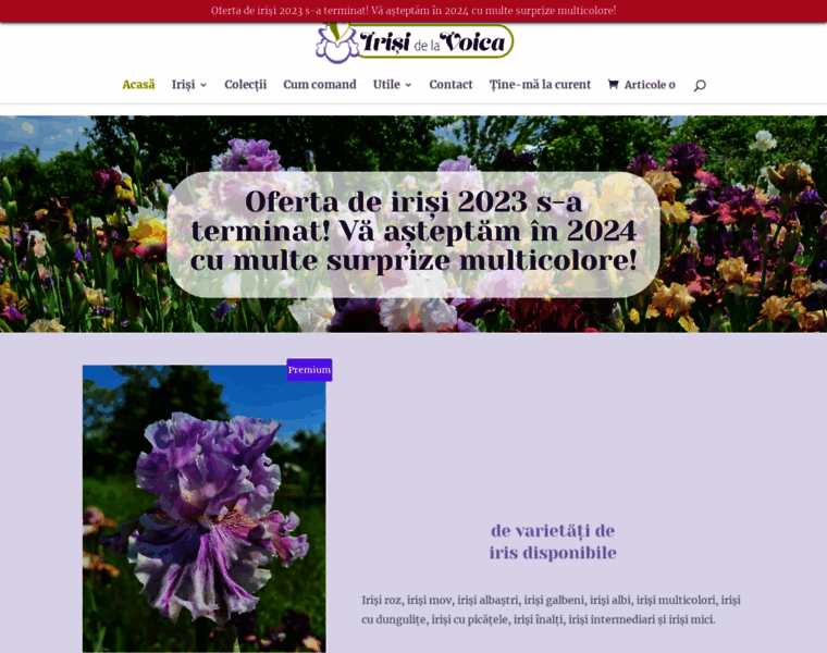 Irisi.ro thumbnail
