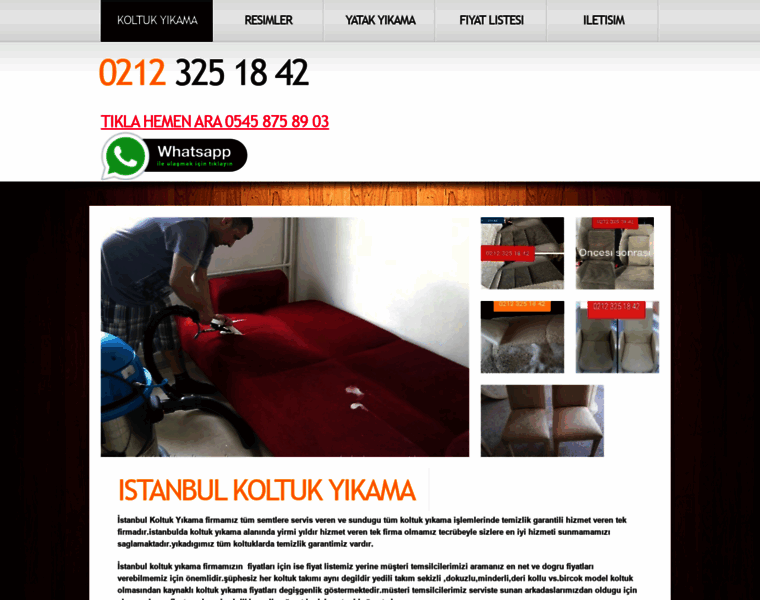 Istanbulhalikoltukyikama.com thumbnail