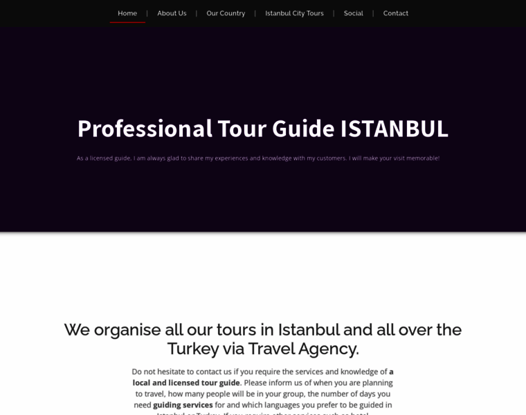 Istanbultripguide.com thumbnail