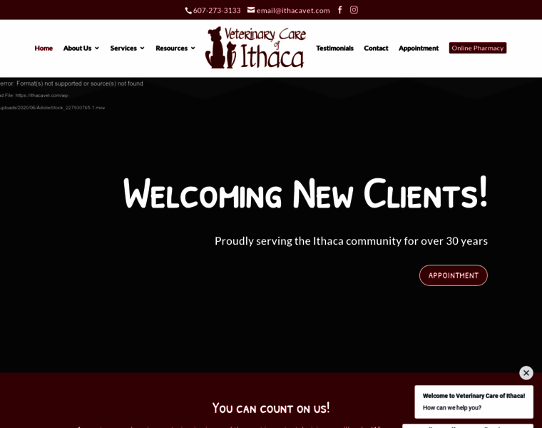 Ithacavet.com thumbnail