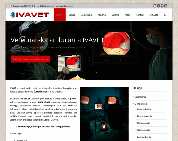 Ivavet.com thumbnail