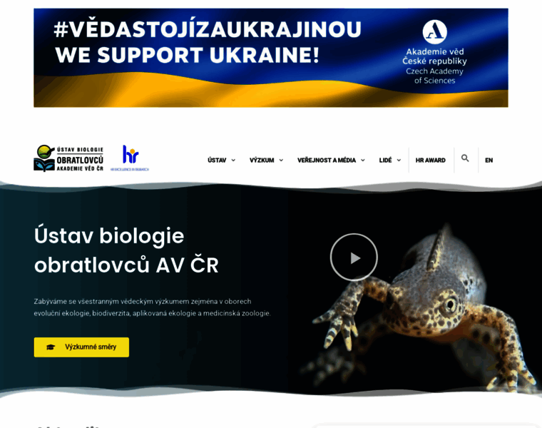 Ivb.cz thumbnail