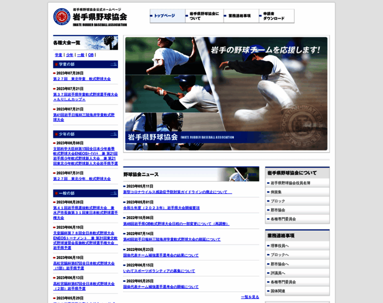 Iwate-baseball.jp thumbnail