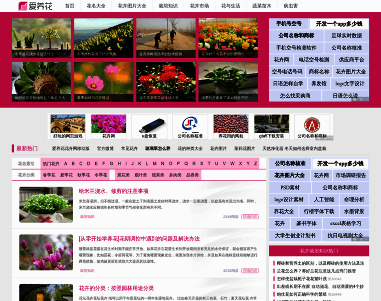 Iyanghua.com thumbnail