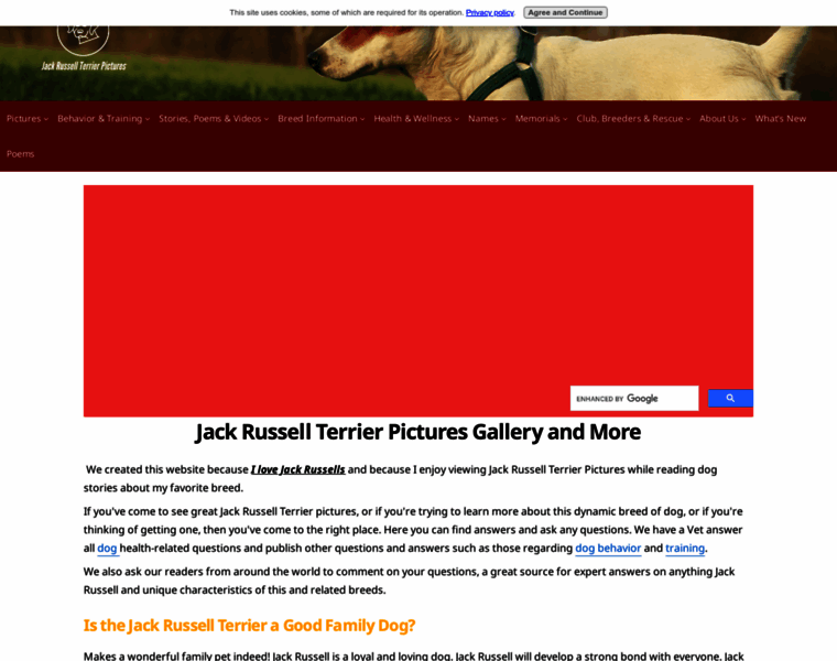 Jack-russell-terrier-pictures.com thumbnail