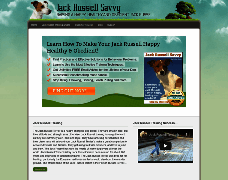 Jackrussellsavvy.com thumbnail