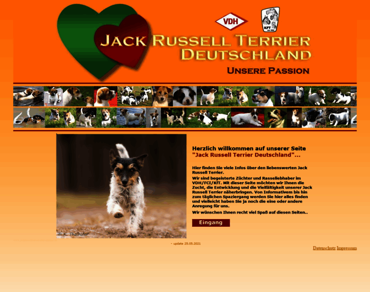Jackrussellterrier-deutschland.de thumbnail