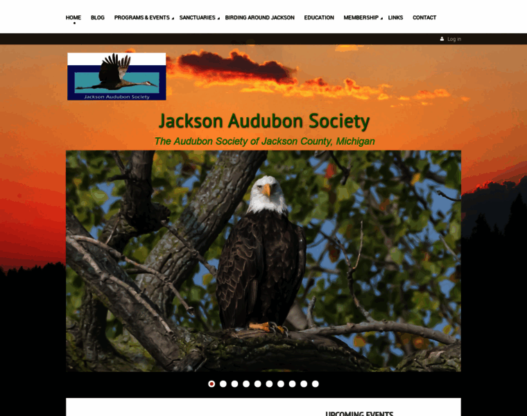 Jacksonaudubon.org thumbnail
