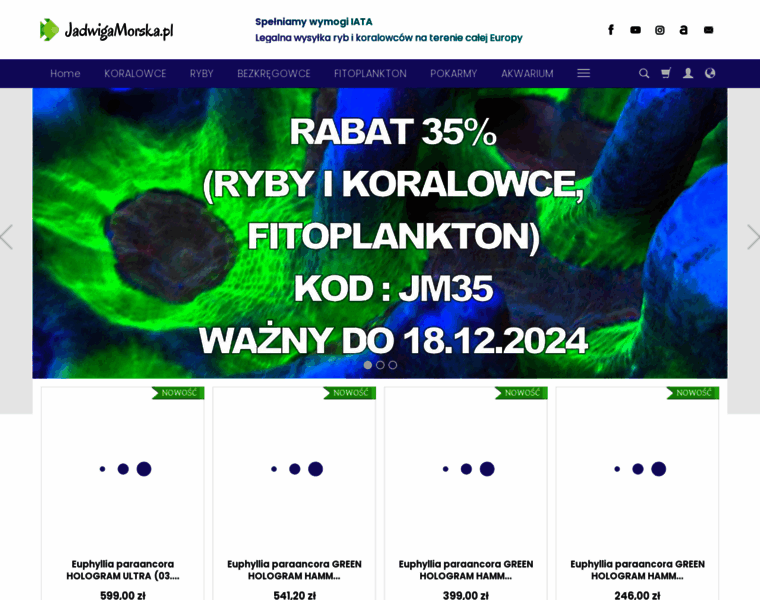 Jadwigamorska.pl thumbnail