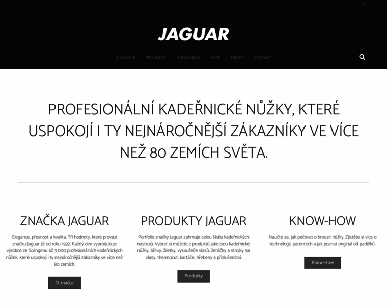 Jaguar-solingen.cz thumbnail