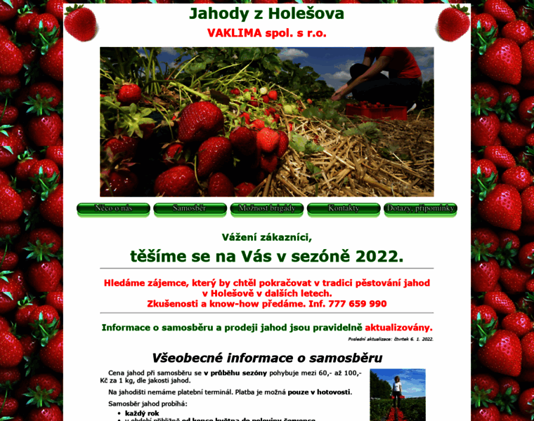 Jahodyzholesova.cz thumbnail