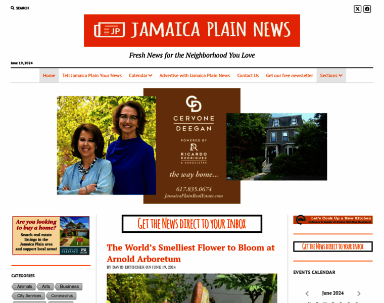 Jamaicaplainnews.com thumbnail