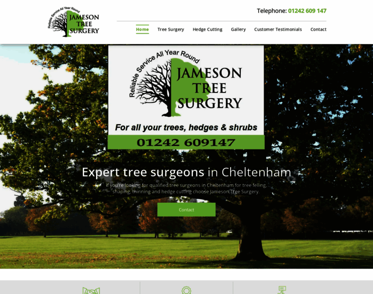 Jamesontreesurgery.co.uk thumbnail