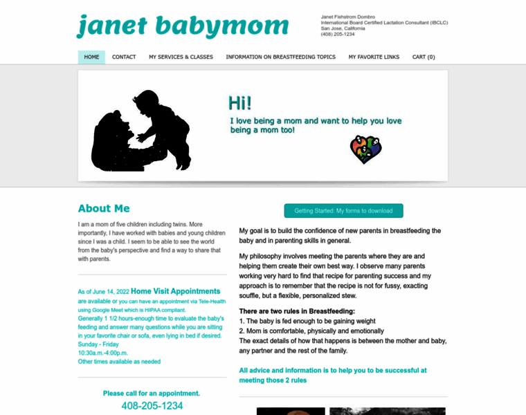 Janetbabymom.com thumbnail