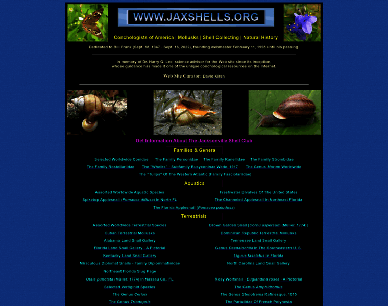 Jaxshells.org thumbnail Jaxshells.org thumbnail
