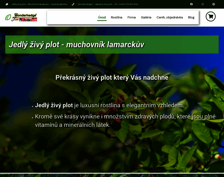Jedlyplot.cz thumbnail