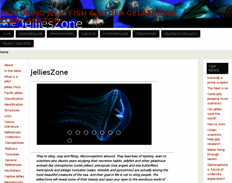 Jellieszone.com thumbnail