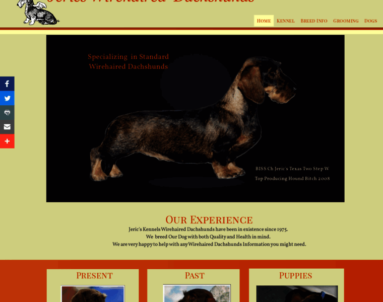 Jerics-dachshunds.com thumbnail