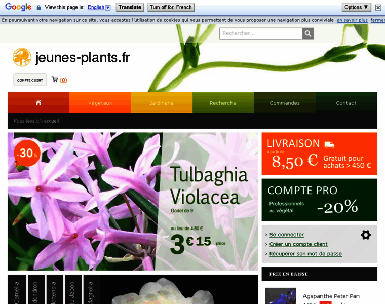 Jeunes-plants.fr thumbnail