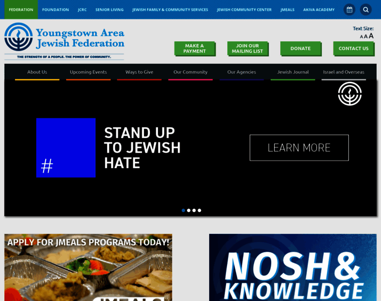 Jewishyoungstown.org thumbnail