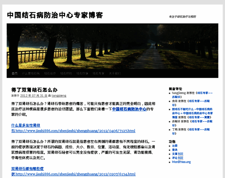 Jieshi886.org thumbnail