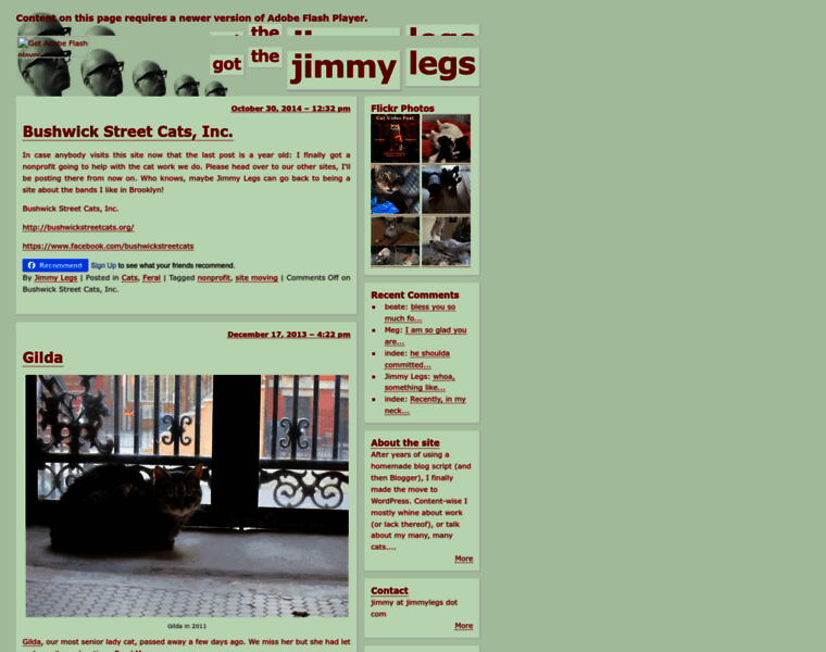 Jimmylegs.com thumbnail