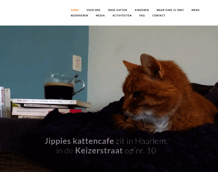 Jippieskattencafe.nl thumbnail