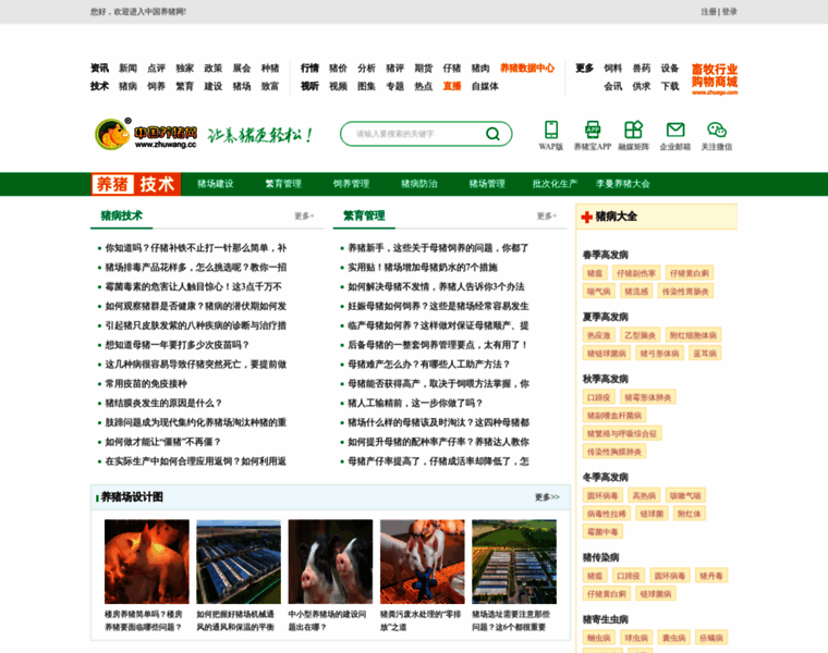Jishu.zhuwang.cc thumbnail