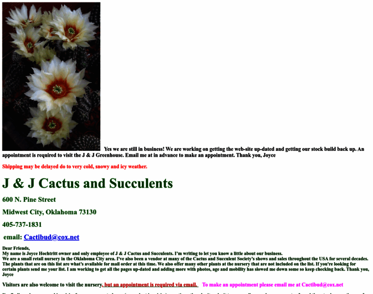 Jjcactus-succulents.net thumbnail