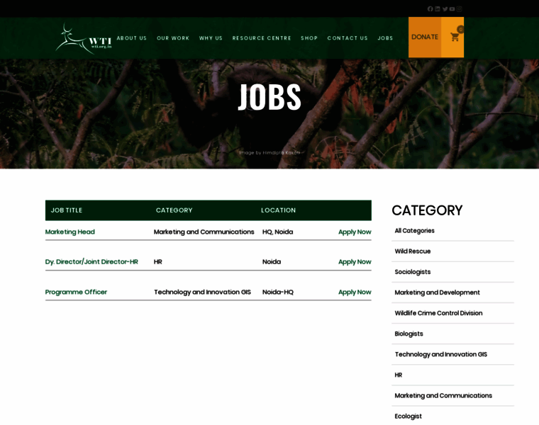 Jobs.wti.org.in thumbnail