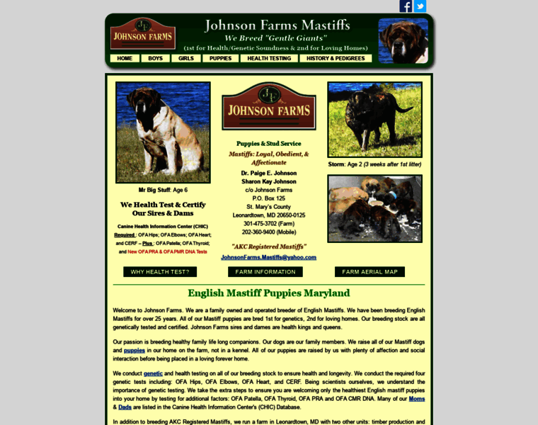 Johnsonfarmsmastiffs.com thumbnail