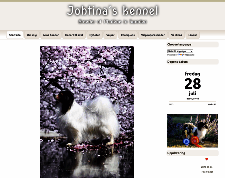Johtinas.com thumbnail