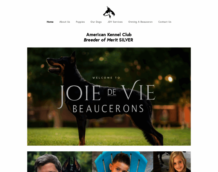 Joiedeviebeaucerons.com thumbnail