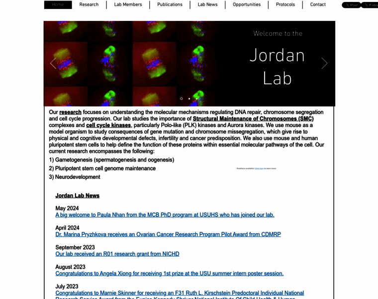 Jordanlab.space thumbnail