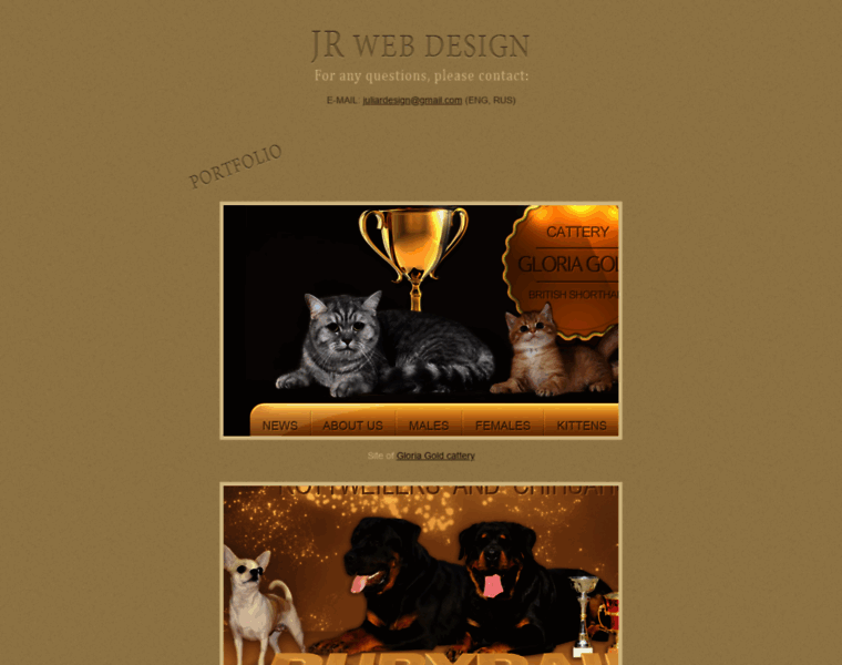 Jr-webdesign.info thumbnail