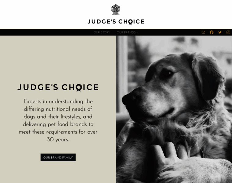 Judgeschoice.com thumbnail