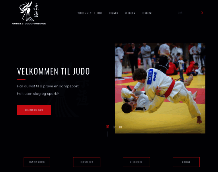 Judo.no thumbnail