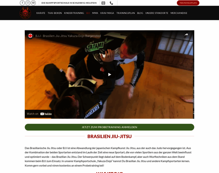 Judobrasil.net thumbnail
