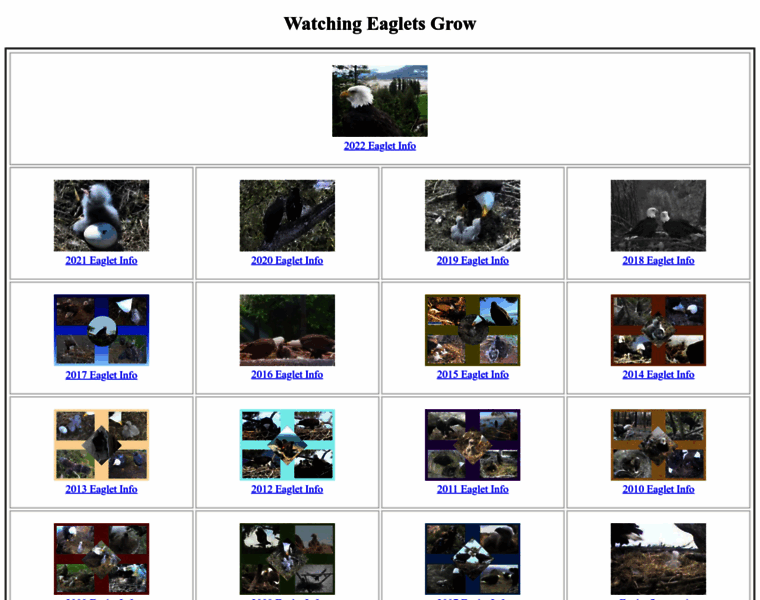 Judyb-eagles.com thumbnail